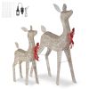 Christmas Deer Outdoor